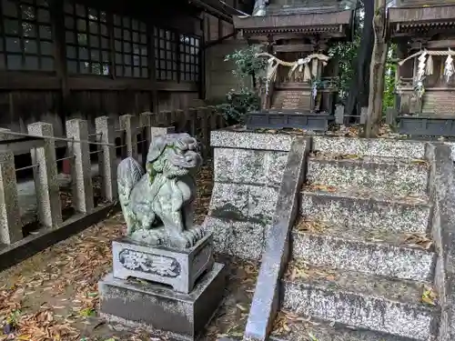 八幡社（柏井町）の狛犬