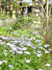 山家神社の自然