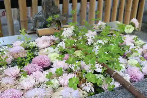 高円寺氷川神社(東京都)