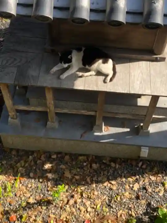 地藏寺(和歌山県)