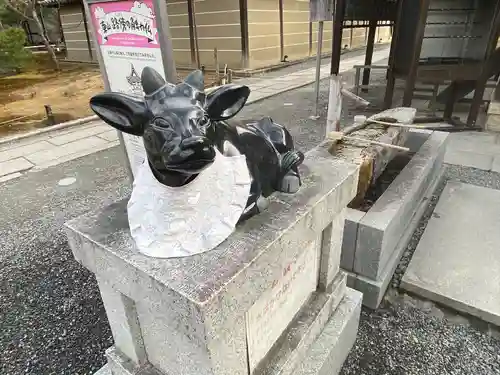 高台寺（高台寿聖禅寺・高臺寺）(京都府)