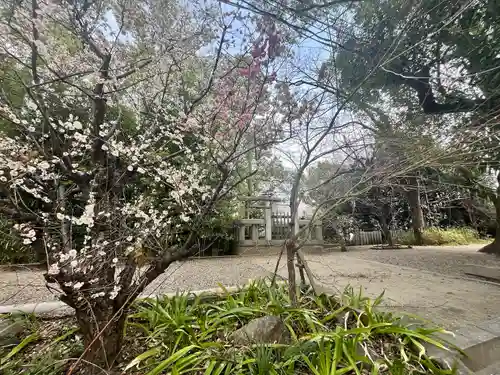 杭全神社(大阪府)