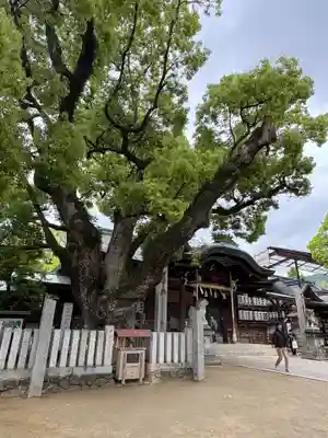 石切劔箭神社(大阪府)