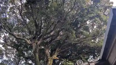 旦椋神社(京都府)