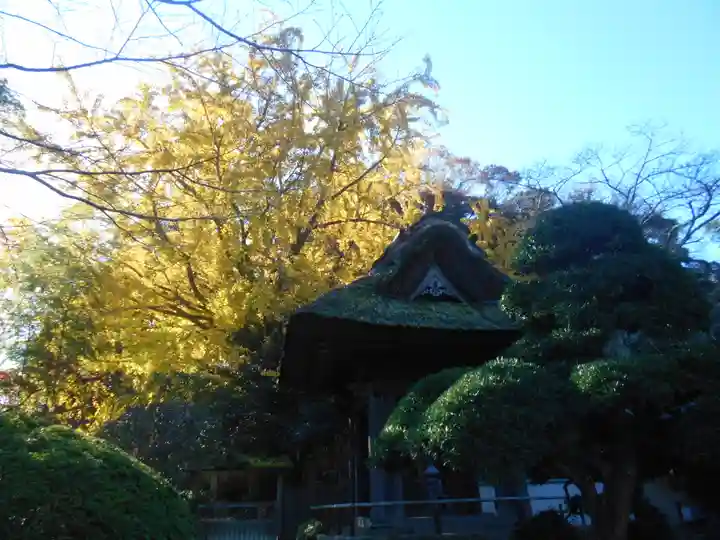 報国寺のその他建物