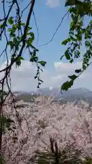 相馬神社の自然