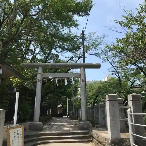 松戸神社の鳥居