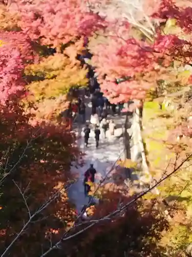 清水寺(京都府)