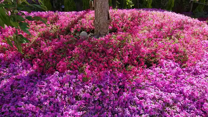 寿量山 速成寺の庭園