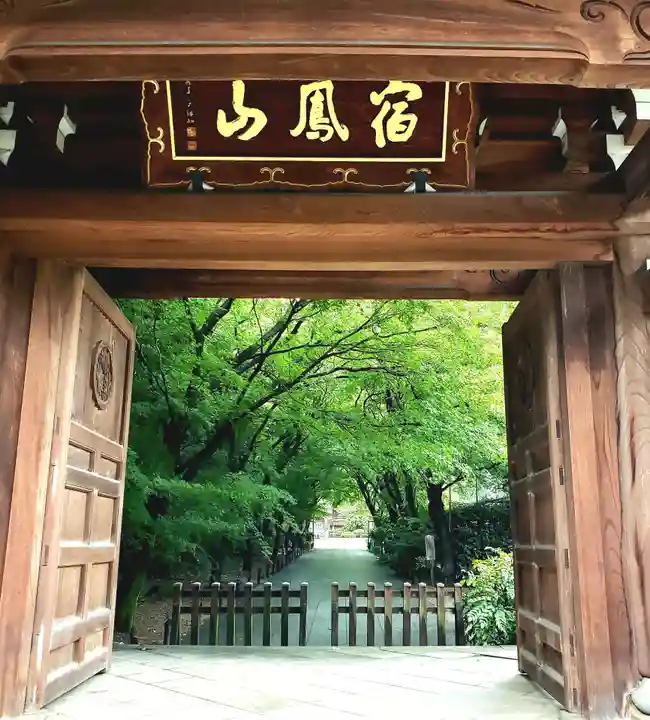 高円寺の山門・神門