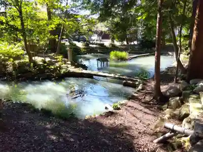 下新川神社(滋賀県)