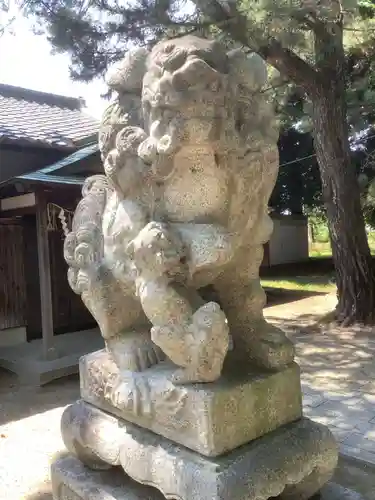 国玉神社・八劔社合殿の狛犬