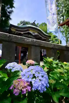 川越八幡宮(埼玉県)