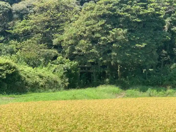 日枝神社(千葉県)