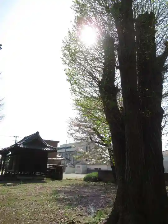 日枝神社(千葉県)