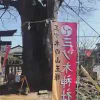 三ツ木神社の自然