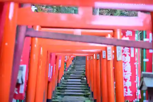 佐助稲荷神社の鳥居