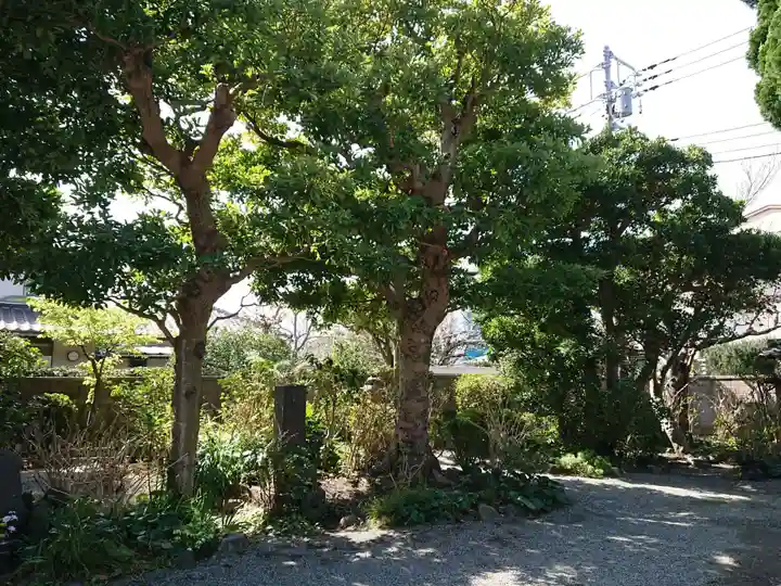 實相寺(実相寺)(神奈川県)