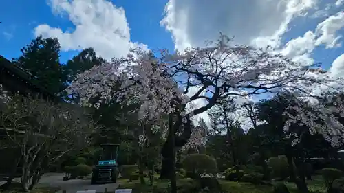 日光東照宮(栃木県)