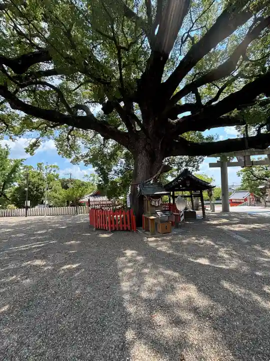 百舌鳥八幡宮(大阪府)