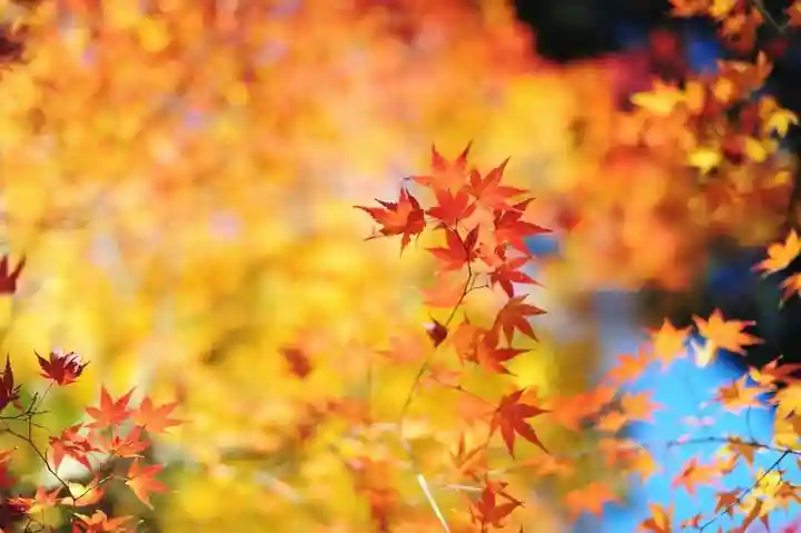 浄土寺(兵庫県)