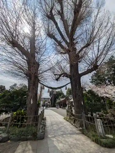 亀ケ池八幡宮(神奈川県)