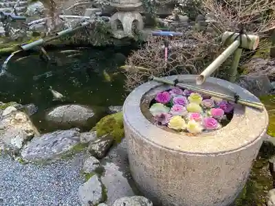 一條殿 新善光寺(京都府)