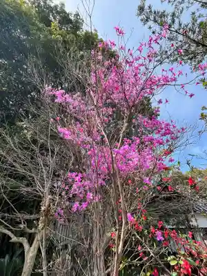 種河神社(大阪府)