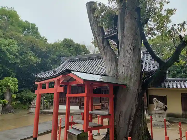 中臣須牟地神社の自然