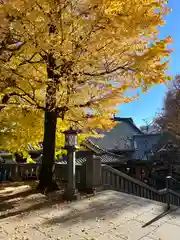 待乳山聖天（本龍院）(東京都)