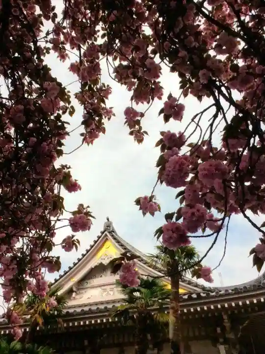 荘厳寺(東京都)