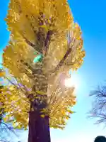 常福寺(茨城県)