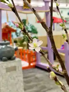 メノコト神社(京都府)(2025年12月30日(火) 14時41分25秒投稿)