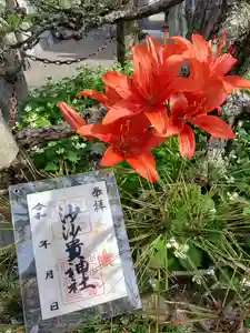 沙沙貴神社の御朱印 2023年06月01日(木)〜(2023年06月03日(土) 13時32分04秒投稿)