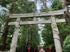 馬橋稲荷神社(東京都)