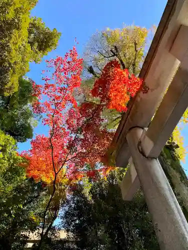 武蔵野八幡宮の自然