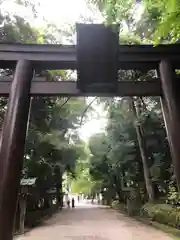 石上神宮の鳥居