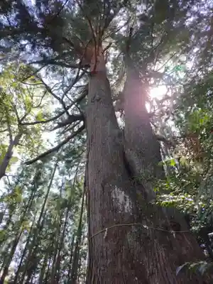 黒瀧神社(三重県)