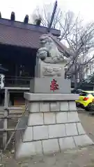 高円寺氷川神社の狛犬