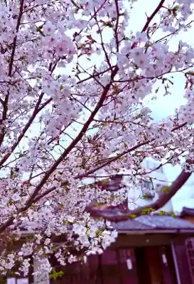 別小江神社の{uncategorized: "未分類", other: "その他", undefined: "問題あり", building: "その他建物", grave: "お墓", sacred_gate: "鳥居", guardian: "狛犬", statue: "像", buddha: "仏像", history: "歴史", nature: "自然", garden: "庭園", animal: "動物", pagoda: "塔", temizu: "手水舎", mountain_gate: "山門・神門", sanctuary: "本殿・本堂", subordinate: "末社・摂社", art: "芸術", scenery: "景色", jizo: "地蔵", ema: "絵馬", goshuin: "御朱印", omikuji: "おみくじ", items: "授与品その他", amulet: "お守り", goshuincho: "御朱印帳", eats: "食事", festival: "お祭り", votive_dance: "神楽", shichigosan: "七五三参", wedding: "結婚式", experience: "体験その他", initially: "初詣", around: "周辺", anti_infection: "感染症対策"}