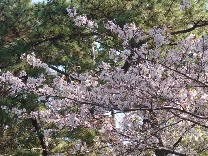 鶴嶺八幡宮(神奈川県)
