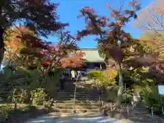 本土寺(千葉県)