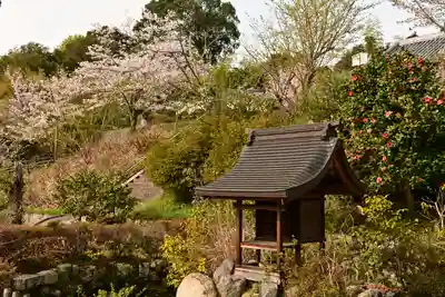 常信寺(愛媛県)