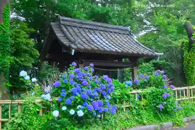 篠原八幡神社(神奈川県)