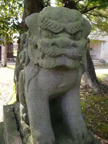 白山神社の狛犬