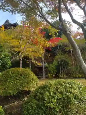 鳳仙寺(宮城県)