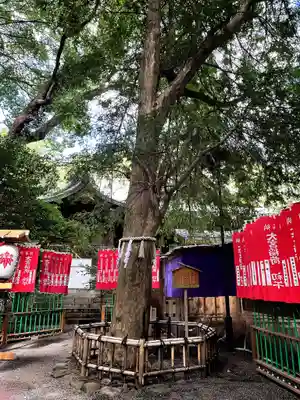大宮八幡宮(東京都)