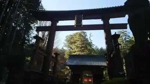 北口本宮冨士浅間神社の鳥居