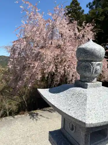 焼山寺の{uncategorized: "未分類", other: "その他", undefined: "問題あり", building: "その他建物", grave: "お墓", sacred_gate: "鳥居", guardian: "狛犬", statue: "像", buddha: "仏像", history: "歴史", nature: "自然", garden: "庭園", animal: "動物", pagoda: "塔", temizu: "手水舎", mountain_gate: "山門・神門", sanctuary: "本殿・本堂", subordinate: "末社・摂社", art: "芸術", scenery: "景色", jizo: "地蔵", ema: "絵馬", goshuin: "御朱印", omikuji: "おみくじ", items: "授与品その他", amulet: "お守り", goshuincho: "御朱印帳", eats: "食事", festival: "お祭り", votive_dance: "神楽", shichigosan: "七五三参", wedding: "結婚式", experience: "体験その他", initially: "初詣", around: "周辺", anti_infection: "感染症対策"}