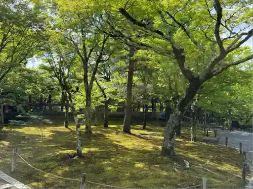 東福禅寺（東福寺）(京都府)